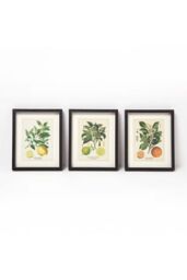 Homescapes Wall Decoration Set of 3 Frames with Picture, Citrus Fruits - thumbnail 1
