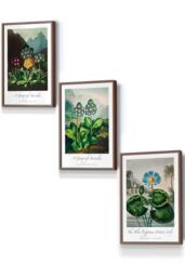 ARTZE Vintage Auricula & Lily Flowers Floral Framed Wall Art - Small in Walnut - Size: W33 cm x H45 cm x D20mm