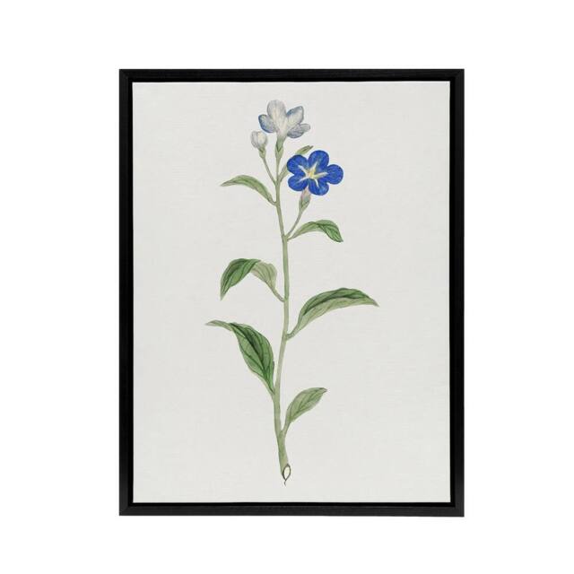 "Artery8 Blue Flower Framed Canvas Wall Art Print Vintage Japanese Botanical in White - Size: W12"" x H16""" - image 1