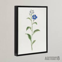 "Artery8 Blue Flower Framed Canvas Wall Art Print Vintage Japanese Botanical in White - Size: W12"" x H16""" - thumbnail 2