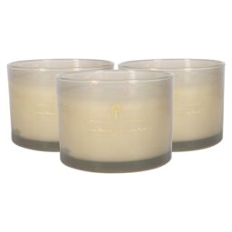 Nicola Spring 350g Pomelo & Passion Fruit Soy Candles - Pack of 3 - Double Wick Jars in Grey