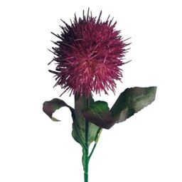 Leaf Pack of 6 x 70cm Globe Thistle Purple Ball Artificial Flower Stem - Size: 6 x 70 cm - thumbnail 7