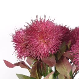 Leaf Pack of 6 x 70cm Globe Thistle Purple Ball Artificial Flower Stem - Size: 6 x 70 cm - thumbnail 3