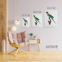 "Artery8 The Plum Headed Parakeet Francois Levaillant Canvas Wall Art Print in White - Size: W12"" x H16""" - thumbnail 4