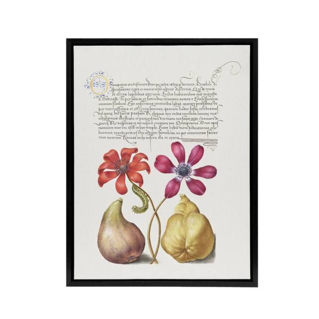 "Artery8 Poppy Anemone Fig & Quince Calligraphy Framed Canvas Wall Art Print in White - Size: W12"" x H16""" - image 1