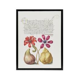 "Artery8 Poppy Anemone Fig & Quince Calligraphy Framed Canvas Wall Art Print in White - Size: W12"" x H16""" - thumbnail 1