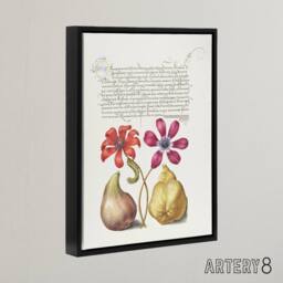 "Artery8 Poppy Anemone Fig & Quince Calligraphy Framed Canvas Wall Art Print in White - Size: W12"" x H16""" - thumbnail 2