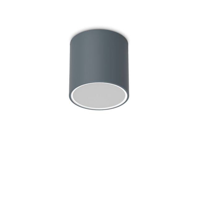 Netlighting Techo 15.3cm Outdoor Surface Mounted Downlight Anthracite IP54 in Dark Grey