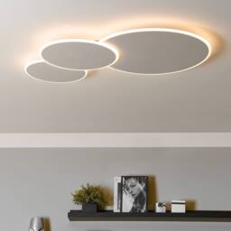 Wyld and Coco Ceiling Lamp - Round White Acrylic Shade Dimmable LED