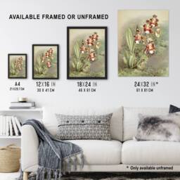 Artery8 Frederick Sander Odontoglossum Harryanum Orchid Framed Wall Art Print - Size: A4 - thumbnail 3