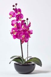 Homescapes Luxury Artificial Orchid in Black Bowl, 54 cm in Cerise
