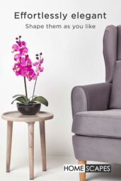 Homescapes Luxury Artificial Orchid in Black Bowl, 54 cm in Cerise - thumbnail 6