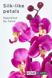 Homescapes Luxury Artificial Orchid in Black Bowl, 54 cm in Cerise - thumbnail 3