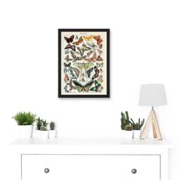 Artery8 Millot Encyclopedia vintage Variety Butterflies Moths Nature Artwork Framed Wall Art Print A4 in Black - thumbnail 2