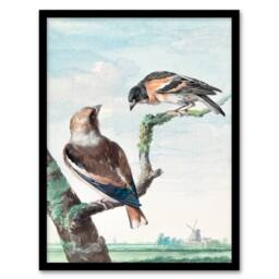 Artery8 Aert Schouman Framed Wall Art Two Hawfinch Birds in Rural Landscape in Blue - Size: A4 - thumbnail 1