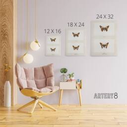 "Artery8 Silver Spotted Skipper Butterfly Denton Canvas Wall Art Print in White - Size: W12"" x H16""" - thumbnail 4