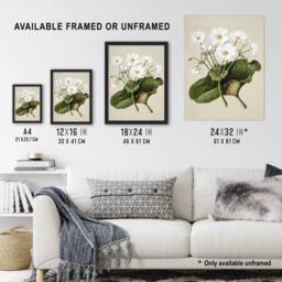 Artery8 New Zealand Mountain Lily Flowers Featon Framed Wall Art Print in Beige - Size: A4 - thumbnail 3