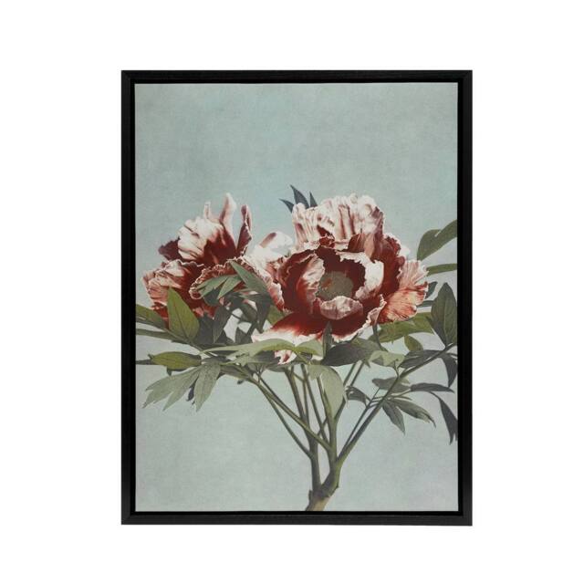 "Artery8 Tree Peonies Pink Flower Blooms Framed Canvas Wall Art Print Kazumasa in Blue - Size: W12"" x H16""" - image 1