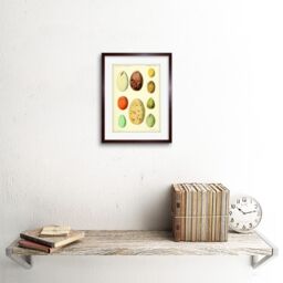 "Artery8 Wall Art Print French Eggs Vintage Art Framed 9x7 inch in Brown - Size: W7"" x H9""" - thumbnail 2