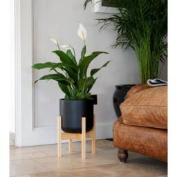 Lemon Pavilion Furniture and Decor Lisbon Pot and Stand - Ceramic - L26 x W26 x H43.5 cm - Anthracite in Grey - thumbnail 2