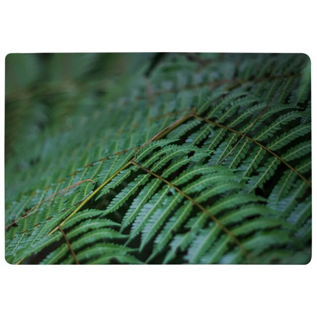 Benjamin Tate Design Grren Leaves Pattern & Texture At Indonesia Designer Rug in Natural - Size: Large - image 1