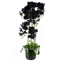 Leaf 110cm Artificial Black Orchid Plant Artifcial 41 REAL TOUCH flowers in Green