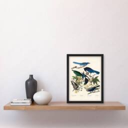 Artery8 John James Audubon Framed Wall Art Print Magpie Clarks Crow & Jays in White - Size: A4 - thumbnail 2