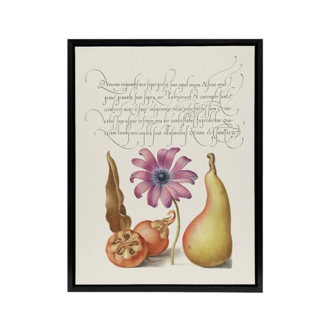 "Artery8 Medlar Poppy Anemone & Pear Calligraphy Framed Canvas Wall Art Print in White - Size: W12"" x H16""" - image 1