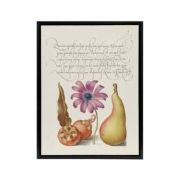 "Artery8 Medlar Poppy Anemone & Pear Calligraphy Framed Canvas Wall Art Print in White - Size: W12"" x H16""" - thumbnail 1