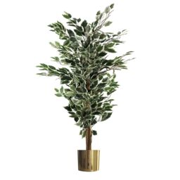 Leaf Artificial Ficus Tree Plant White Edge Bushy 130cm Plants Gold Metal Planter in Green - thumbnail 1