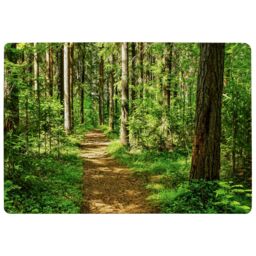 Benjamin Tate Design Woodland Path Designer Rug in Natural - Size: Large - thumbnail 1