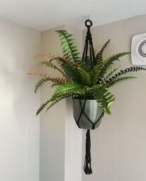 Leaf Artificial Boston Fern Plant - 60cm Boston Fern in Green - thumbnail 4