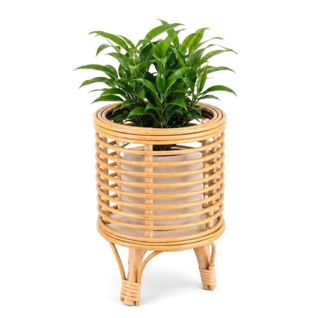 Kelvenix M Rattan Floor Planter Stand with Handle in Natural - image 1