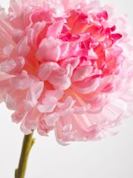 Orsina Chrysanthemum Stem - 84cm Pink, Lifelike Artificial Flower With Soft Pink Petals & Green Stem, Adds A - thumbnail 3