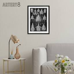 "Artery8 Marine Microorganisms Haeckel Botanical Black Framed Canvas Wall Art - Size: W24"" x H32""" - thumbnail 3