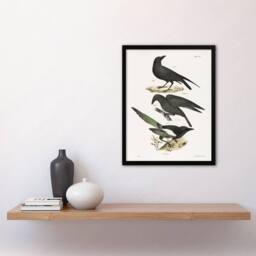 Artery8 James Ellsworth De Kay Raven Crow & Magpie Framed Wall Art Print in White - Size: A4 - thumbnail 4