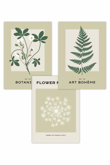 ARTZE Set of 3 Vintage Graphical Green Botanical Art Posters in Light Green - Size: W50 cm x H70 cm - image 1