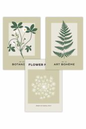 ARTZE Set of 3 Vintage Graphical Green Botanical Art Posters in Light Green - Size: W50 cm x H70 cm - thumbnail 1