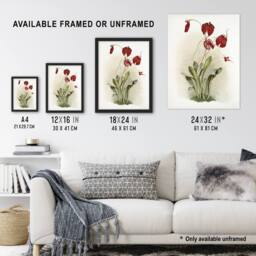 Artery8 F Sander Masdevallia Harryana Splendens Orchid Framed Wall Art Print - Size: A4 - thumbnail 3