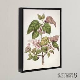 "Artery8 New Zealand Makomako Flowering Plant Featon Framed Canvas Wall Art in Beige - Size: W24"" x H32""" - thumbnail 2