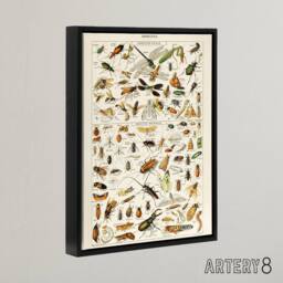"Artery8 Millot Encyclopedia Page Dragonfly Insects Framed Canvas Wall Art Print - Size: W24"" x H32""" - thumbnail 2