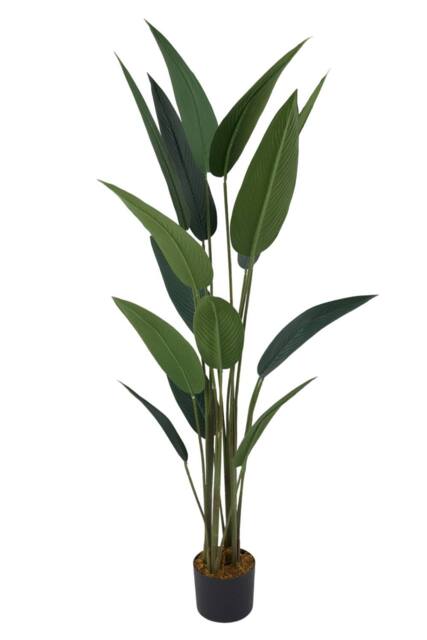 Living and Home Decorative Artificial Bird of Paradise in Pot in Green - image 1