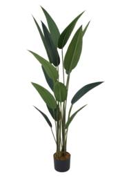 Living and Home Decorative Artificial Bird of Paradise in Pot in Green - thumbnail 1