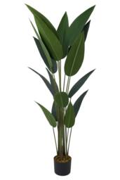 Living and Home Decorative Artificial Bird of Paradise in Pot in Green - thumbnail 2