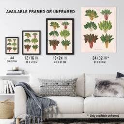 "Artery8 Beet or Swiss Chard Vegetables Ernst Benary Framed Wall Art Print in White - Size: W12"" x H16""" - thumbnail 3