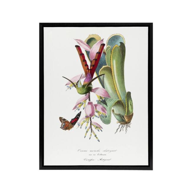 "Artery8 Paul Gervais Hummingbird Butterfly & Flower Framed Canvas Art Print in White - Size: W12"" x H16""" - image 1