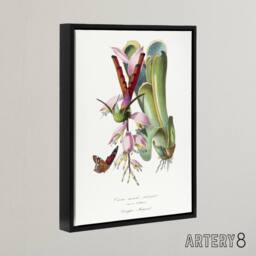 "Artery8 Paul Gervais Hummingbird Butterfly & Flower Framed Canvas Art Print in White - Size: W12"" x H16""" - thumbnail 2