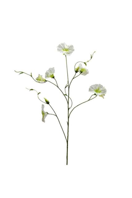 KDMD Botanica Cream Liseron 107cm 2 Pack in White - image 1