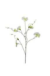 KDMD Botanica Cream Liseron 107cm 2 Pack in White - thumbnail 2