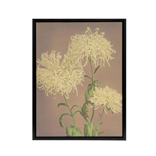 "Artery8 Three Yellow Chrysanthemums Framed Canvas Wall Art Print Ogawa Kazumasa - Size: W12"" x H16""" - image 1